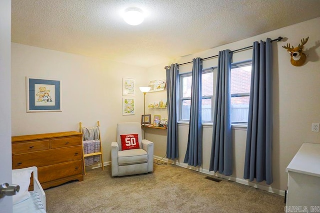 living area with carpet flooring and a textured ceiling