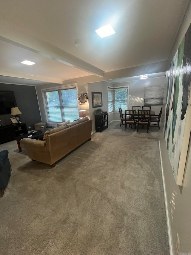 carpeted living room with plenty of natural light and beam ceiling