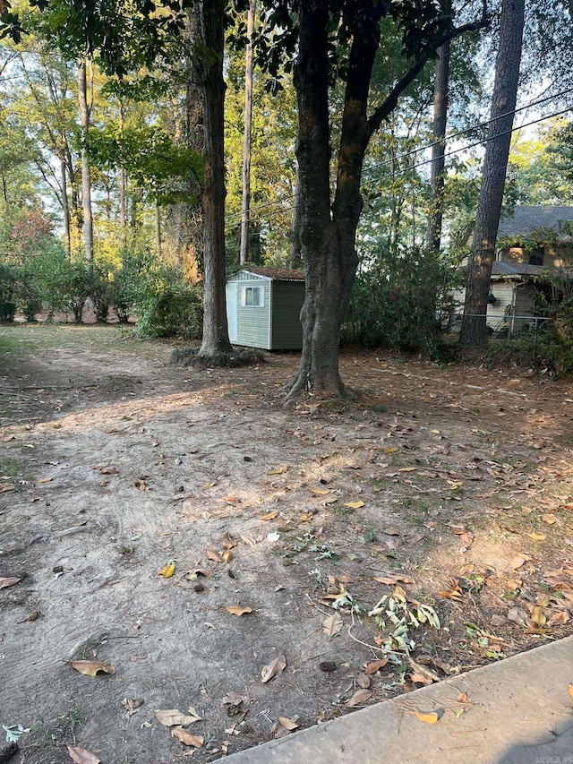 view of yard with a storage unit