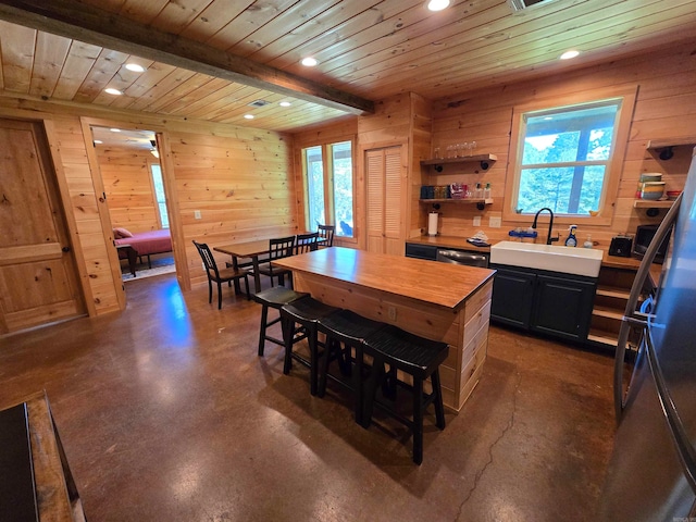 kitchen with wood walls, sink, and a wealth of natural light