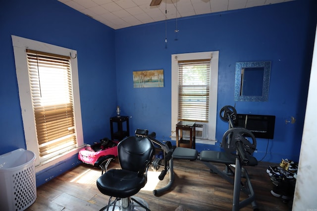 exercise area featuring wood-type flooring and ceiling fan