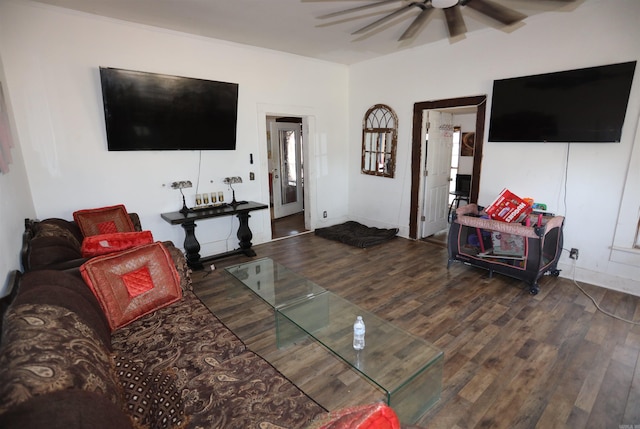 living room featuring ceiling fan and dark hardwood / wood-style floors