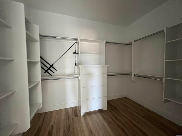 walk in closet featuring wood finished floors