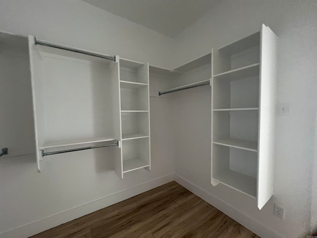 spacious closet featuring wood finished floors