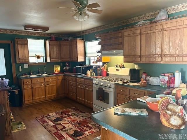 kitchen with white range with gas cooktop, ceiling fan, dark wood-type flooring, and sink