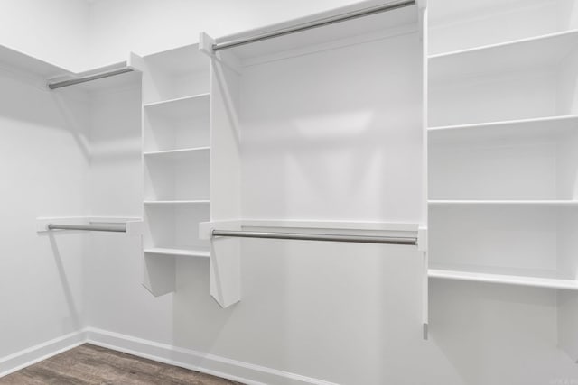 walk in closet featuring dark hardwood / wood-style floors