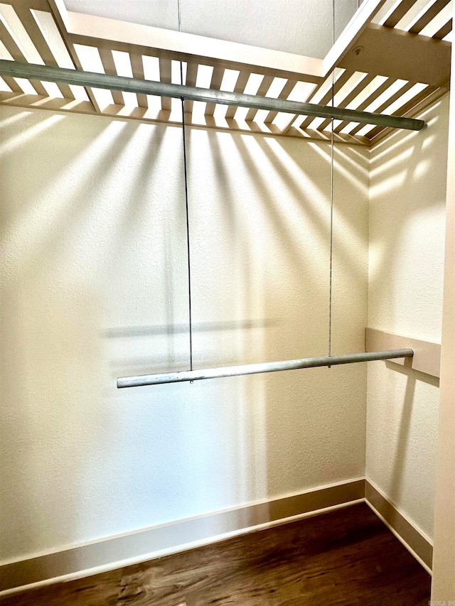 spacious closet with wood-type flooring