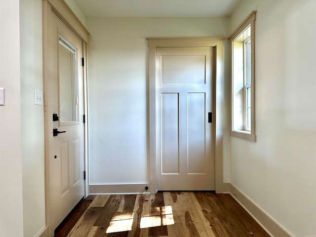 doorway to outside featuring dark wood-type flooring