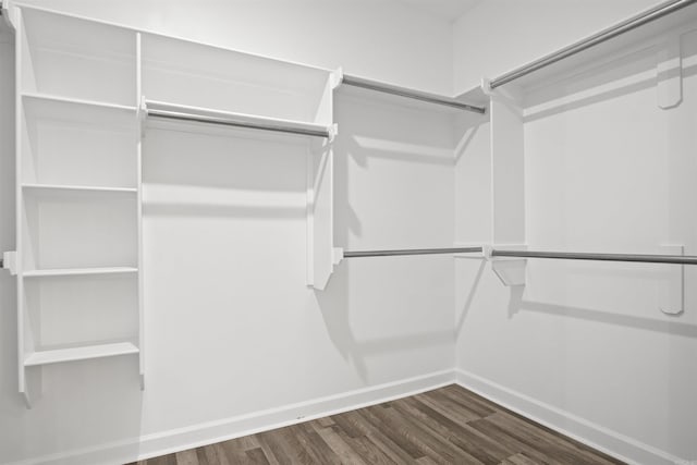 spacious closet featuring dark hardwood / wood-style flooring