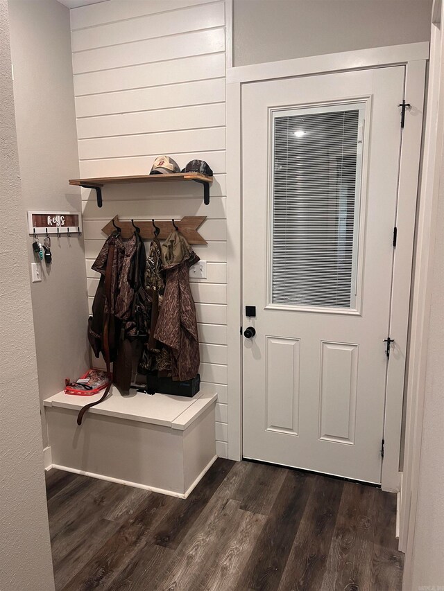 mudroom with dark wood-type flooring