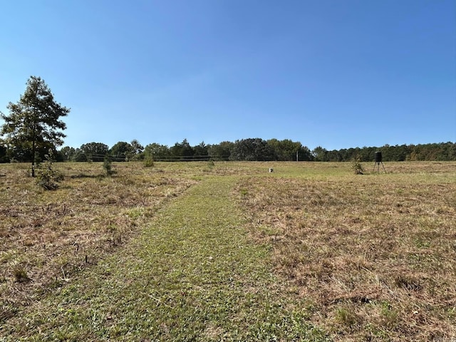 view of landscape featuring a rural view