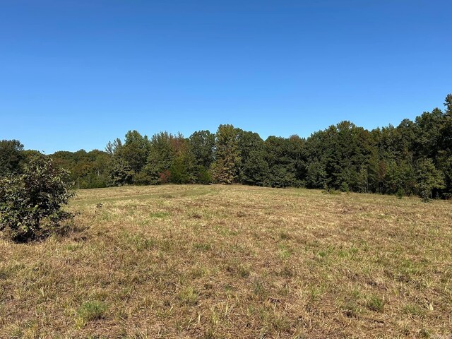 444 W Pleasant Springs Rd, Quitman, AR 72131 - view of local wilderness featuring a forest view