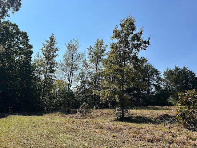 view of local wilderness