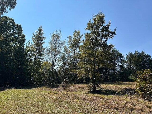 444 W Pleasant Springs Rd, Quitman, AR 72131 - view of local wilderness