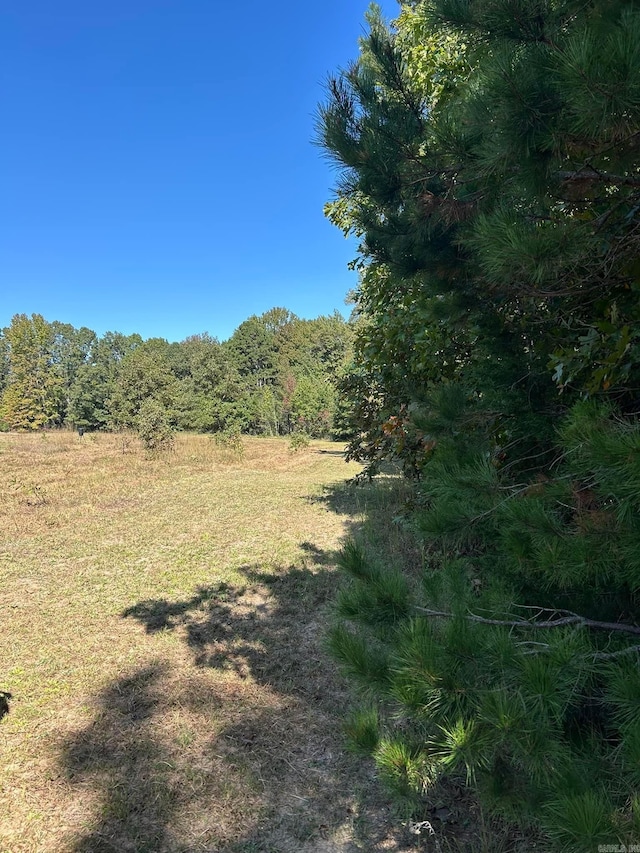 view of local wilderness