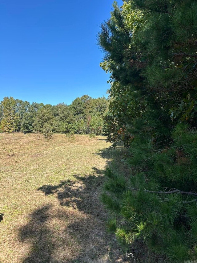 444 W Pleasant Springs Rd, Quitman, AR 72131 - view of landscape