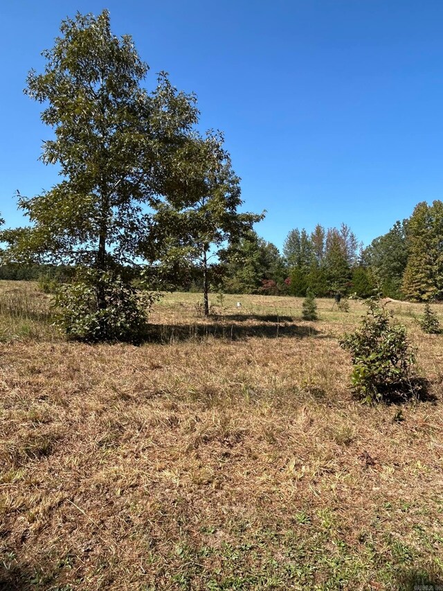 444 W Pleasant Springs Rd, Quitman, AR 72131 - view of nature