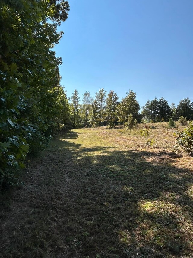 view of local wilderness featuring a rural view