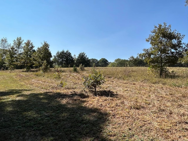 view of local wilderness featuring a rural view