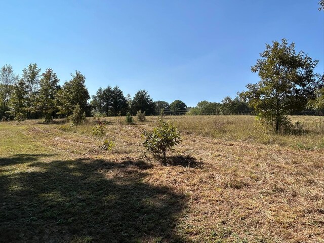 444 W Pleasant Springs Rd, Quitman, AR 72131 - view of landscape with a rural view