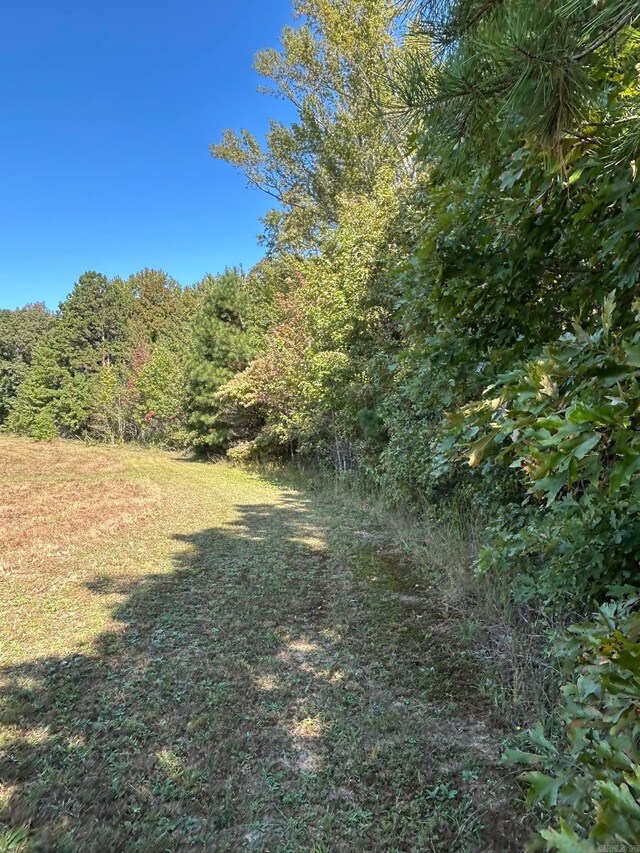 444 W Pleasant Springs Rd, Quitman, AR 72131 - view of landscape featuring a wooded view