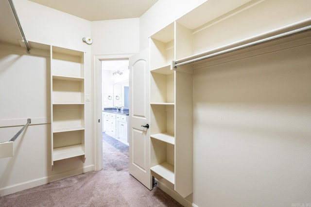 walk in closet featuring carpet