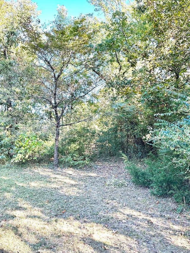 Listing photo 2 for TBD Polk Road 98, Grannis AR 71944