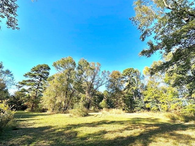 Listing photo 3 for TBD Polk Road 98, Grannis AR 71944