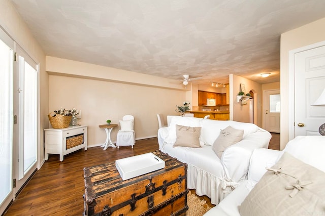 living room featuring ceiling fan and dark hardwood / wood-style floors