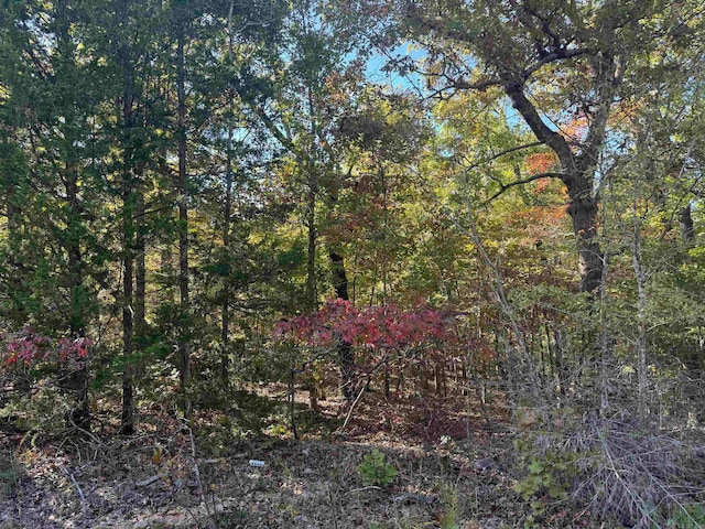 Listing photo 2 for LOT61 Red Fox Rd, Hardy AR 72542