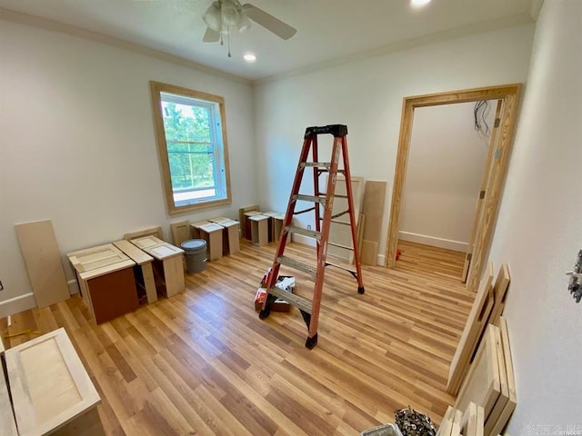 workout room featuring crown molding, ceiling fan, and light wood-type flooring