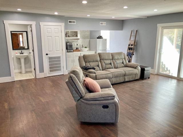 living room featuring wood-type flooring and sink