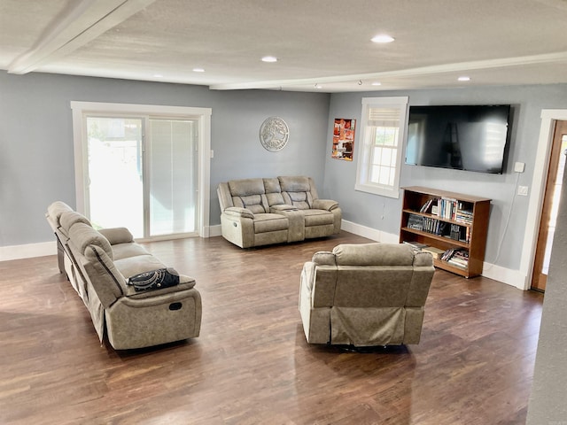 183 Sunny Gap Rd, Conway, AR 72032 - living area featuring baseboards, wood finished floors, and recessed lighting