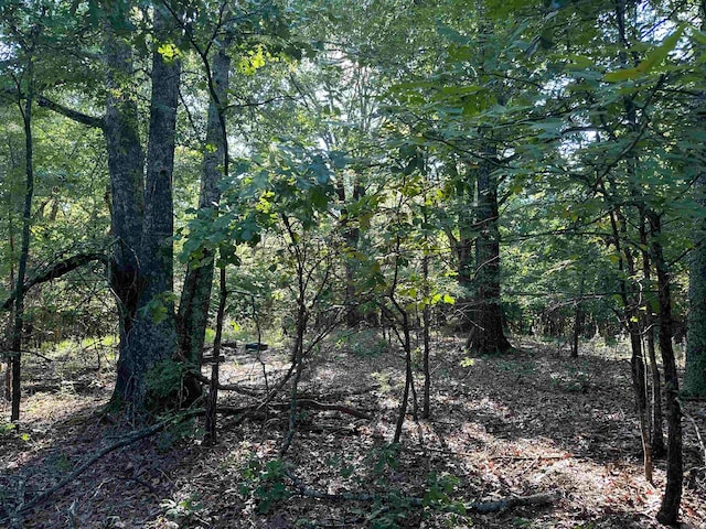 Address Not Disclosed, Little Rock AR, 72210 land for sale