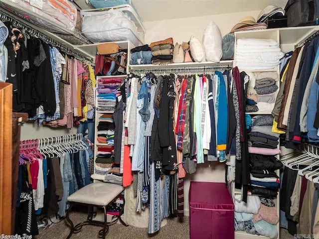 spacious closet featuring carpet