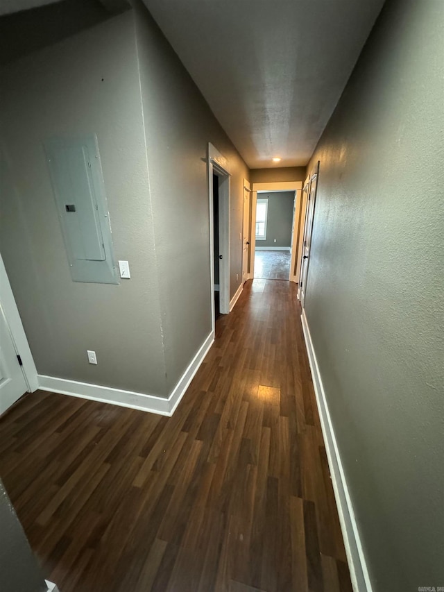 hallway featuring electric panel and dark hardwood / wood-style flooring