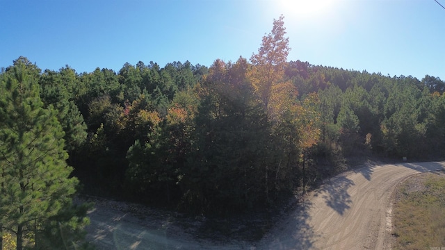 Listing photo 2 for LOT9 Polk Road 617, Mena AR 71953