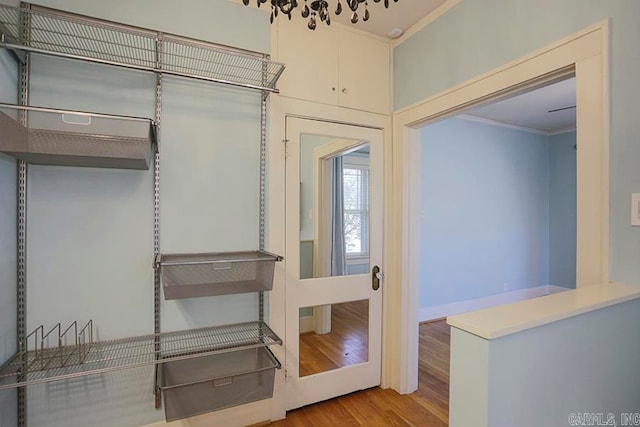 spacious closet with light wood-type flooring