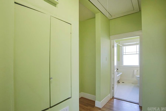 hall featuring light hardwood / wood-style floors