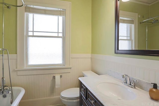 bathroom with vanity, toilet, and a washtub