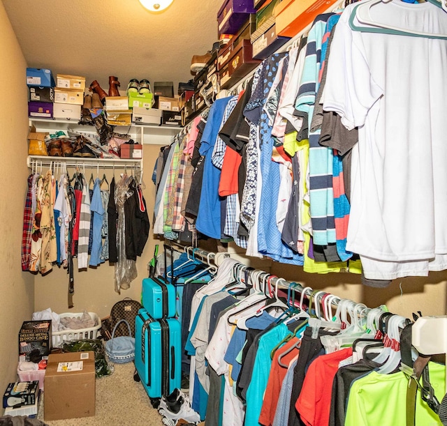 view of spacious closet