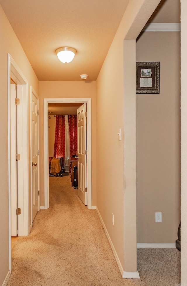 corridor featuring a textured ceiling and carpet flooring