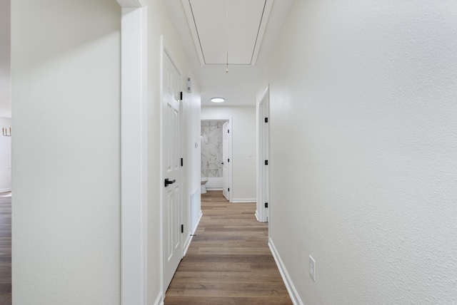 hallway featuring wood-type flooring