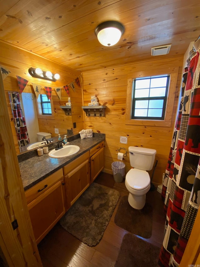 bathroom featuring vanity, toilet, wood walls, and plenty of natural light