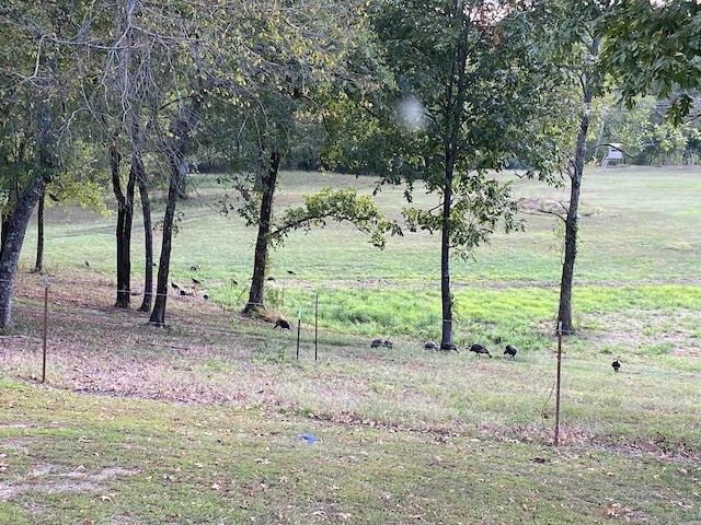 view of yard with a rural view