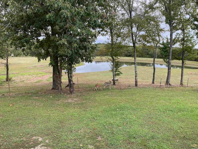 view of yard with a water view