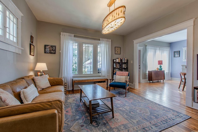 living room featuring a wealth of natural light and hardwood / wood-style flooring