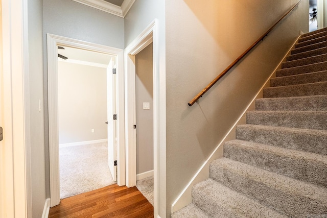 stairway featuring crown molding and wood-type flooring