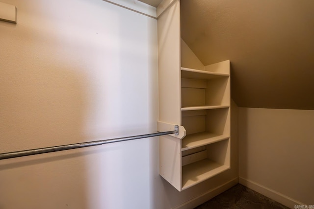 walk in closet with vaulted ceiling