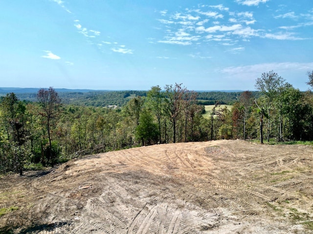 Listing photo 3 for 8373 Hwy 5 S, Salesville AR 72653